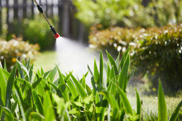 24/7 Emergency Wasp Removal experts in Yazoo City, MS