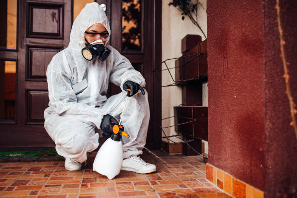 Reliable Wasp Removal contractor in Yazoo City, MS by Show Me Pest Control